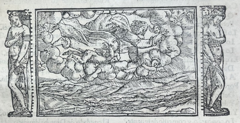 imagen ejemplar